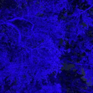 Meet your Posher, Sean